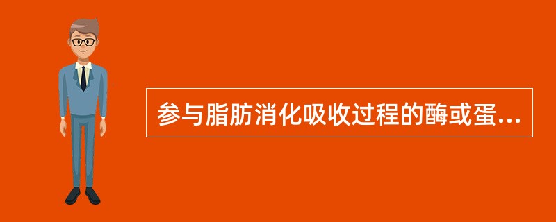 参与脂肪消化吸收过程的酶或蛋白包括（）