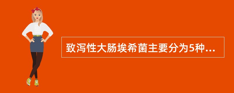 致泻性大肠埃希菌主要分为5种，他们感染的人群和所致疾病有所不同。引起儿童持续性腹泻的是