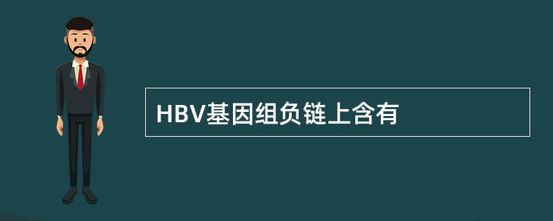 HBV基因组负链上含有