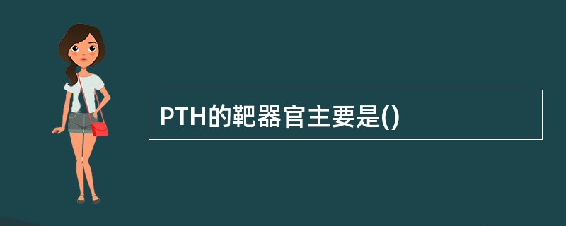 PTH的靶器官主要是()