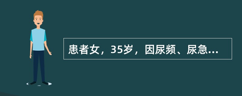 患者女，35岁，因尿频、尿急、尿痛就诊。尿常规检查可见大量白细胞；尿培养，血平板上为灰白色、中等大小菌落；麦康凯平板上呈红色菌落。革兰染色镜检为革兰阴性杆菌。该菌的耐药机制有