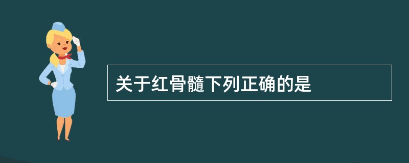 关于红骨髓下列正确的是