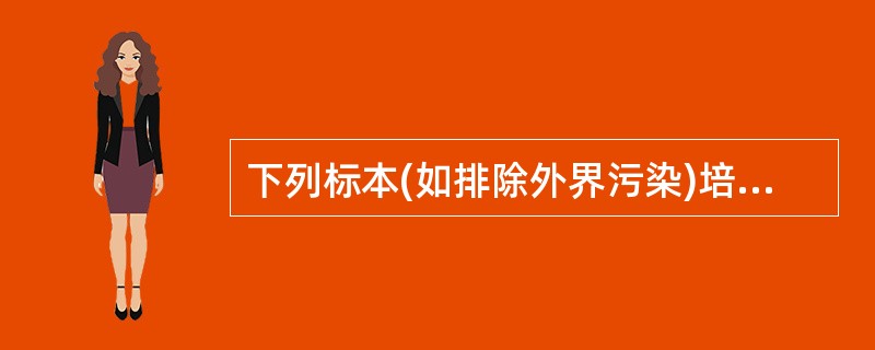 下列标本(如排除外界污染)培养出细菌即有确诊意义的是(　)