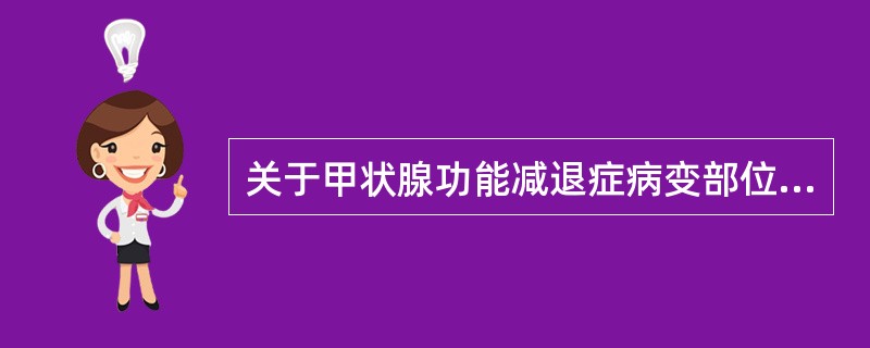 关于甲状腺功能减退症病变部位的确定，叙述正确的有