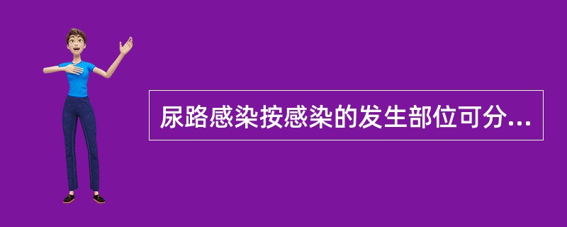 尿路感染按感染的发生部位可分为()