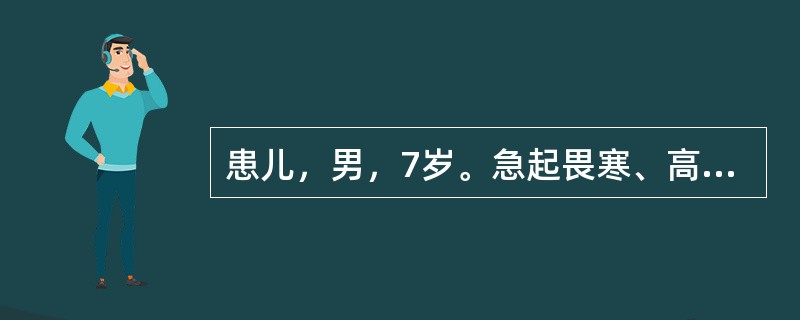 患儿，男，7岁。急起畏寒、高热、头痛、呕吐6小时。身体评估：体温40℃，神志淡漠，全身皮肤黏膜有散在瘀点、瘀斑，颈软，脑膜刺激征（-）。血常规：白细胞15×10<img border="