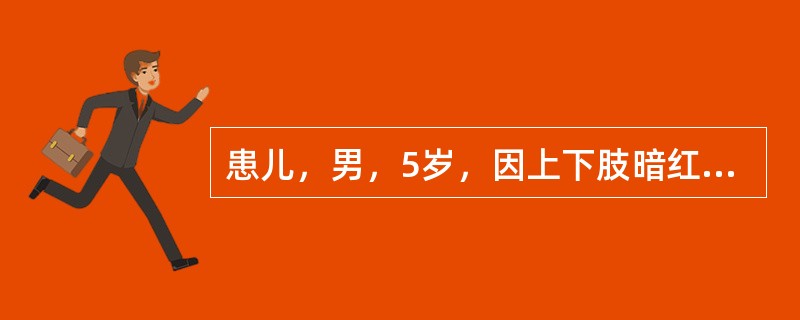 患儿，男，5岁，因上下肢暗红色出血性皮疹5天，伴腹痛便血，双膝关节肿痛2天入院。尿常规示：红细胞(++)／HP，查体：双下肢皮肤有散在大小不等，暗红色皮疹，双膝关节肿胀，有触痛，腹软，下腹无压痛，无反