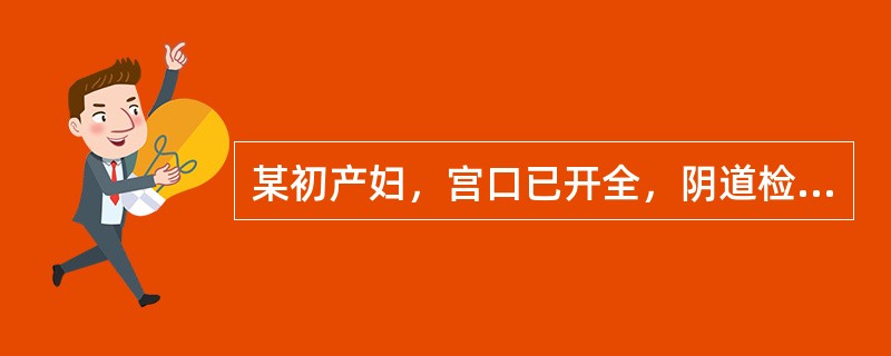 某初产妇，宫口已开全，阴道检查胎头矢状缝与骨盆横径一致，小囟门在9点，大囟门在3点。该产妇为何种胎位