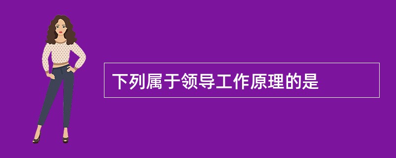 下列属于领导工作原理的是
