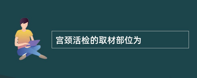宫颈活检的取材部位为