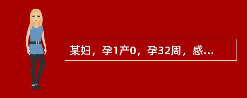 某妇，孕1产0，孕32周，感头昏、乏力及食欲差半月余。查：胎位、胎心及骨盆测量均正常。血色素80g/L，红细胞压积25％其治疗药物哪一项为首选？