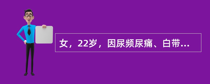 女，22岁，因尿频尿痛、白带增多5天入院。妇科检查：外阴充血，阴道有脓性白带，宫颈充血，宫颈管有脓性分泌物，挤压尿道旁腺时有脓性分泌物流出，怀疑为淋菌性外阴阴道炎及淋茵性尿道炎。本病在女性最好发于哪个