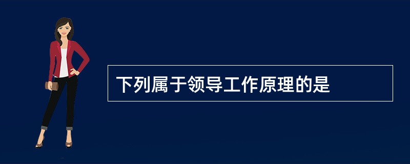 下列属于领导工作原理的是