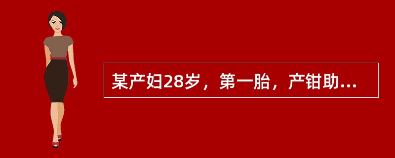 某产妇28岁，第一胎，产钳助产，产后第4天，产妇自述发热，下腹微痛，查体温38℃，双乳稍胀，无明显压痛，子宫脐下二指轻压痛，恶露多而浑浊，有臭味。在护理中应采取哪种隔离