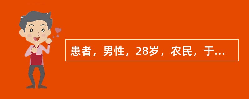 患者，男性，28岁，农民，于12月20日因畏寒、发热3天入院。入院医疗诊断为"肾综合征出血热"。入院查体：体温35.9℃，血压8/5.5kPa，脉搏128次／分，呼吸40次／分，皮