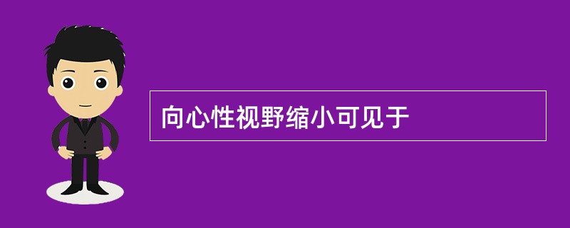 向心性视野缩小可见于