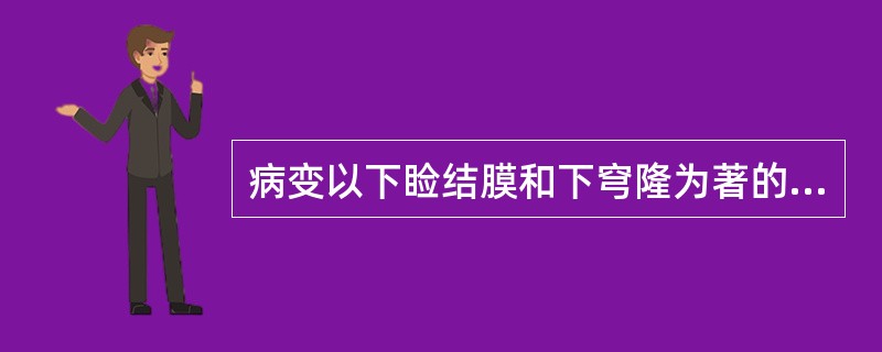 病变以下睑结膜和下穹隆为著的是()