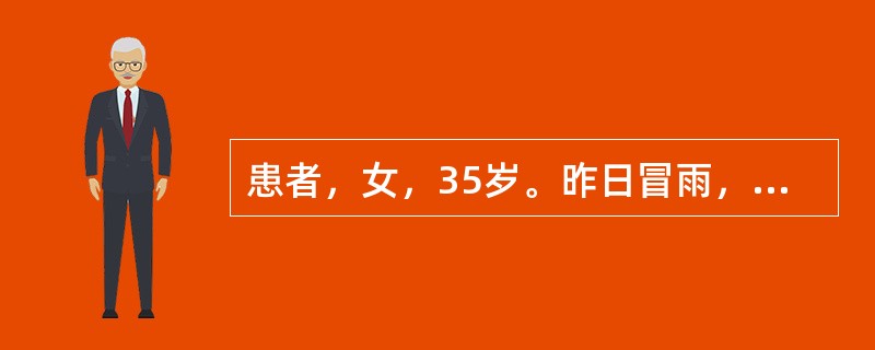 患者，女，35岁。昨日冒雨，夜间出现恶寒发热，鼻塞流涕，咳嗽，痰稀薄色白，今日晨起诸症未见缓解，恶寒更重，无汗．头身疼痛，鼻塞流清涕，舌苔薄白，脉浮紧。该患者药物调护宜选用()
