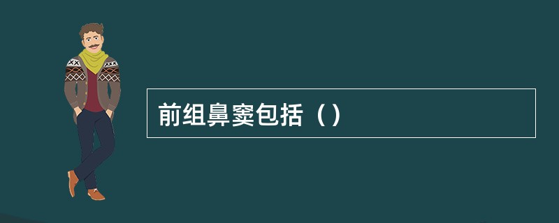 前组鼻窦包括（）