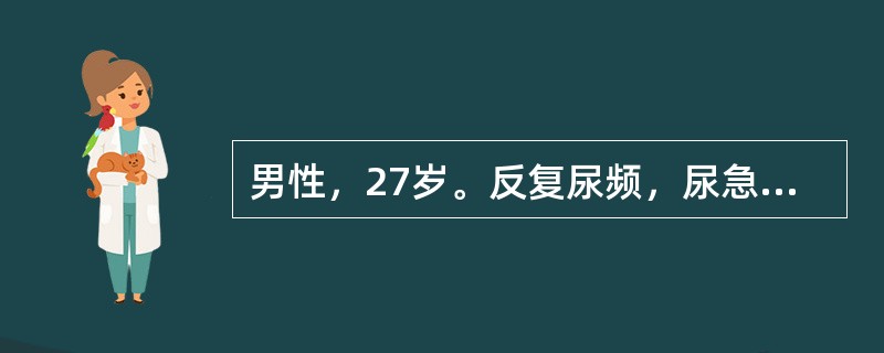 男性，27岁。反复尿频，尿急，尿痛伴终末肉眼血尿2年。更换抗生素治疗效果欠佳，且逐渐加重。尿常规检查：白细胞(++)，红细胞(+++)。现排尿超过30次／日。为明确诊断，首先要做的检查是