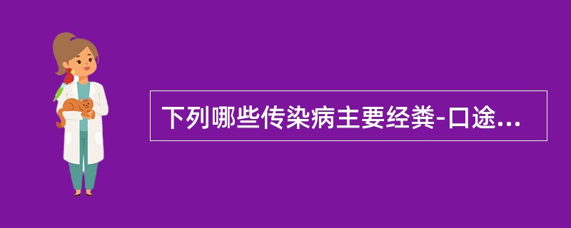 下列哪些传染病主要经粪-口途径传播