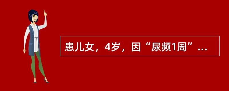 患儿女，4岁，因“尿频1周”来诊。入睡后无尿频。曾查尿常规示隐血（+～++），无其他不适。应做的检查是