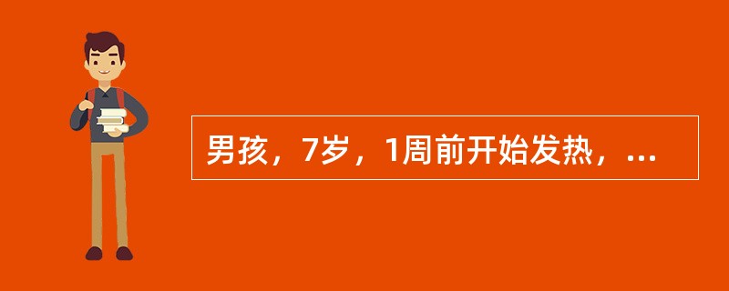 男孩，7岁，1周前开始发热，全身不适，食欲下降，大便干结，轻度腹胀，近2日轻咳无痰。体检：体温38.9℃，神志清，软弱，心脏无异常，两肺呼吸音略粗，肝肋下2cm，脾肋下5cm，无压痛。血常规：白细胞数