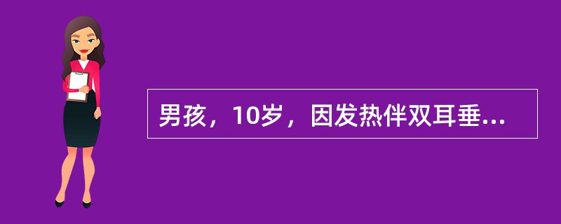 男孩，10岁，因发热伴双耳垂下肿痛4天、腹痛半天、呕吐3次，于2006年4月入院。体检，体温39％，神萎，颈软，咽红，双侧腮腺3cm×3cm，质软，有压痛，心肺无异常。腹软，左上腹有轻度压痛，无肌紧张