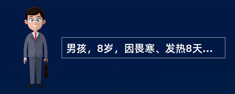 男孩，8岁，因畏寒、发热8天，伴纳差、腹胀、腹痛，大便每天1～2次，略稀，当地医院用青霉素治疗热不退转来。体检：体温39.2℃神志清，精神萎靡，表情淡漠，舌苔厚，心肺无异常，腹略胀，肝肋下2cm，脾肋