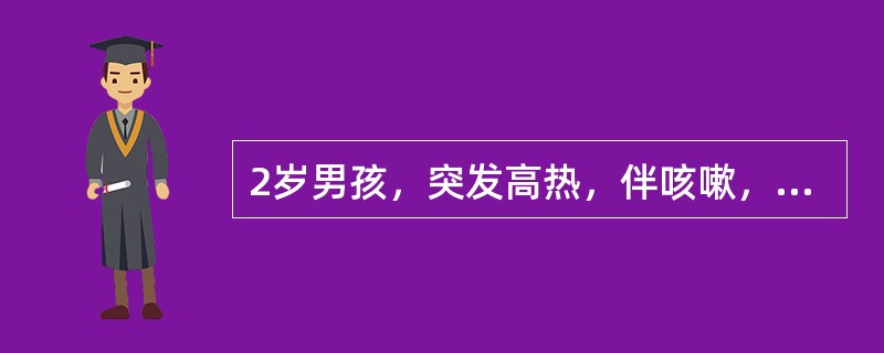 2岁男孩，突发高热，伴咳嗽，经抗生素治疗3天无效，体温仍高，咳嗽加重伴气促及烦躁。查体：体温39℃，呼吸62次／分，心率172次／分，X线胸片有圆形密度增深阴影伴气胸。最可能的诊断是