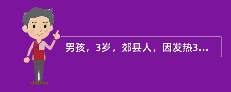 男孩，3岁，郊县人，因发热3天，头痛，喷射性呕吐4次，神萎，嗜睡，1995年8月就诊。体检：体温39.8℃，神志清，神萎，入睡状，咽充血，颈有抵抗，心肺无异常。腹软，提睾反射未引出，膝反射亢进，克氏征