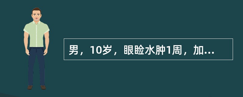 男，10岁，眼睑水肿1周，加重4天伴少尿，近1天头晕、眼花、呕吐2次，2小时前抽搐1次。体检：颜面、眼睑及下肢均水肿，BP16.5／mm120Hg。尿常规：尿蛋白（++），RBC15～20／HP，BU