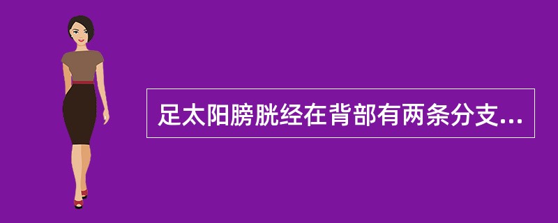 足太阳膀胱经在背部有两条分支。腑的背俞穴主要位于：