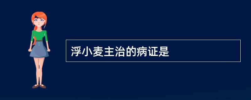 浮小麦主治的病证是