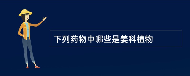 下列药物中哪些是姜科植物