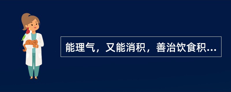 能理气，又能消积，善治饮食积滞脘、腹胀痛的药物是