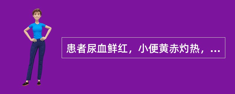 患者尿血鲜红，小便黄赤灼热，心烦口渴，面赤口疮，夜寐不安，舌质红，脉数。其证候是