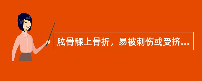 肱骨髁上骨折，易被刺伤或受挤压的血管神经