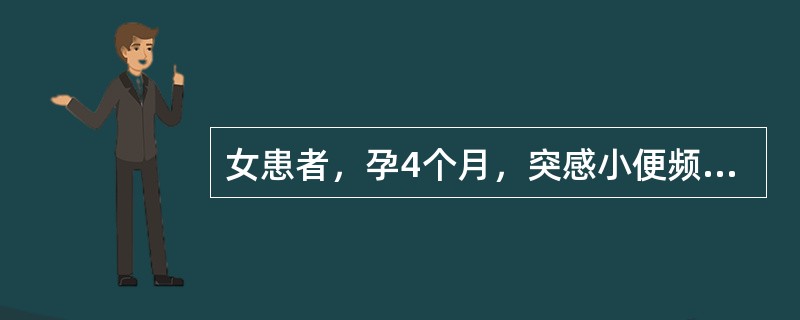 女患者，孕4个月，突感小便频数而急，尿黄赤，灼热刺痛，胸闷食少。舌红苔黄腻，脉滑数。治疗宜首选：