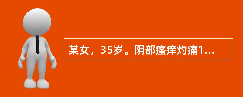 某女，35岁。阴部瘙痒灼痛1周，夜间加重，眩晕耳鸣，五心烦热，腰酸腿软，口干不欲饮；舌红少苔，脉细数其临床诊断为