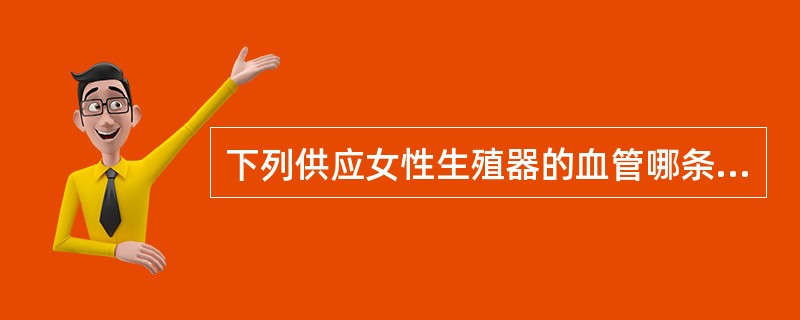 下列供应女性生殖器的血管哪条是髂内动脉的分支
