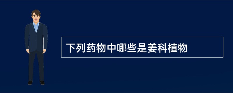 下列药物中哪些是姜科植物