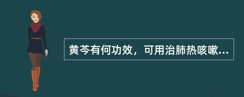 黄芩有何功效，可用治肺热咳嗽之痰黄稠兼大肠湿热泄泻