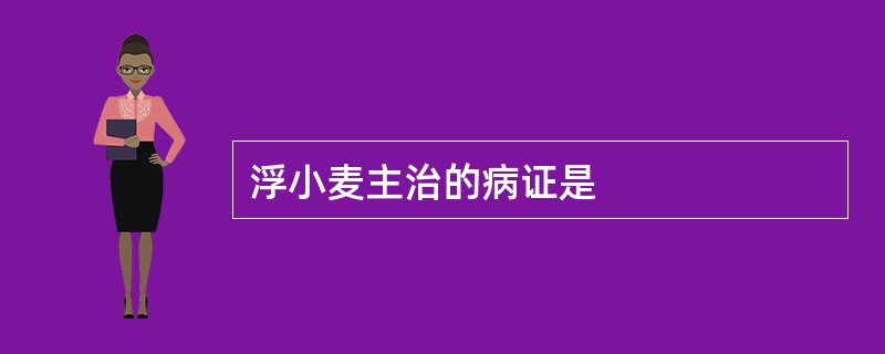 浮小麦主治的病证是