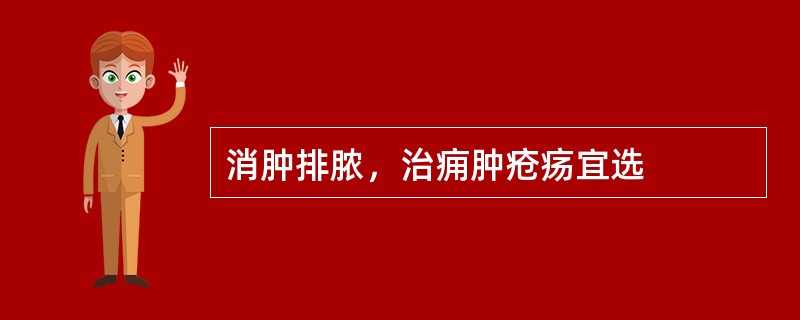 消肿排脓，治痈肿疮疡宜选