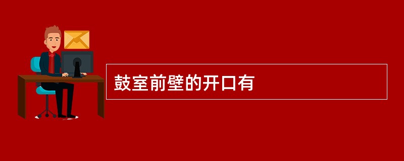 鼓室前壁的开口有