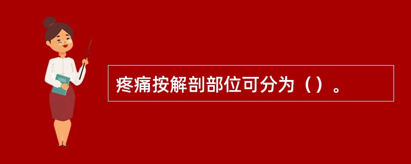 疼痛按解剖部位可分为（）。