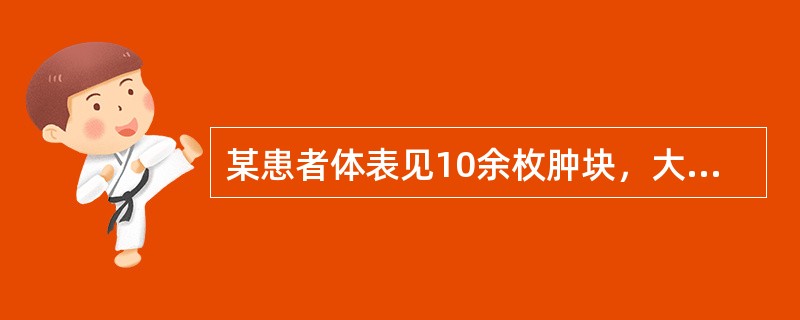 某患者体表见10余枚肿块，大小不一，质地柔软，表面光滑，有囊性感，可压入皮下，放手随即弹起。内治治则为