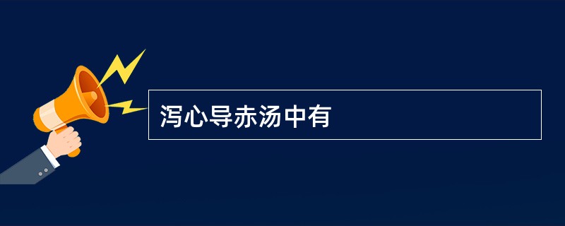 泻心导赤汤中有