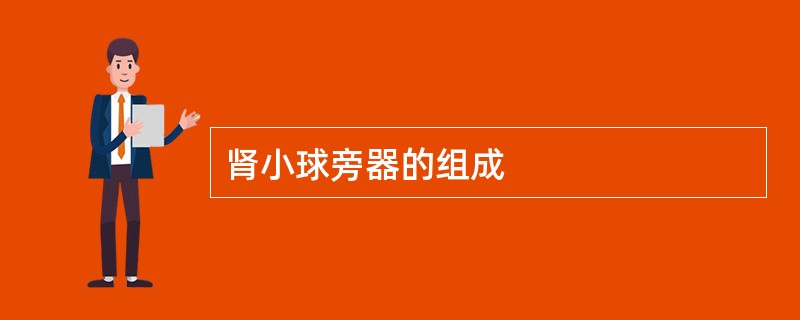 肾小球旁器的组成